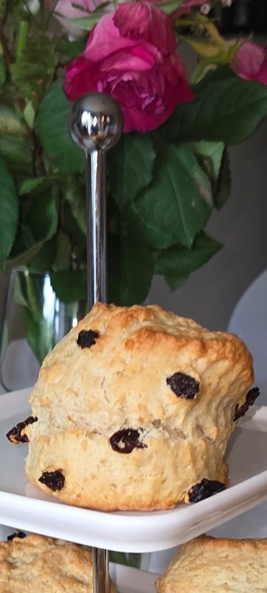 Sultana scone