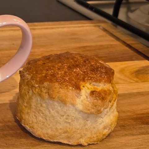 Plain scone